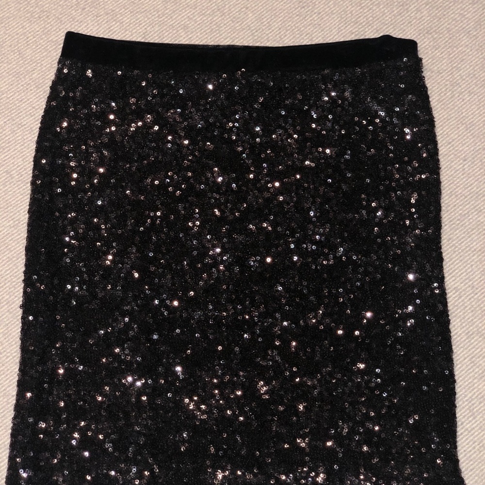 Beautiful sequins and velvet!